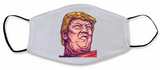 The Donald Stuff Face Masks
